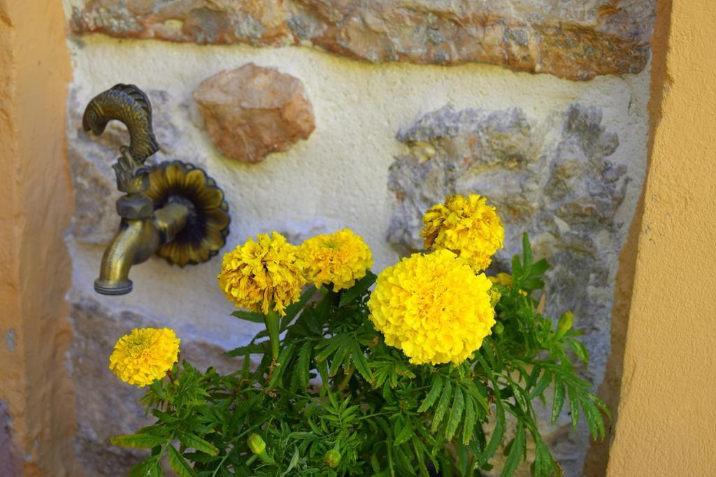 Tilemachos Traditional House فاثي المظهر الخارجي الصورة